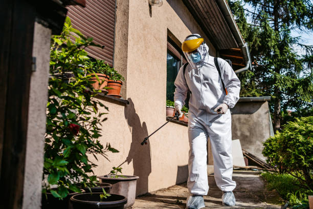 Best Rodent Control Near Me  in Parkwood, WA
