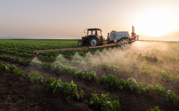 Best Mosquito Control Services  in Parkwood, WA