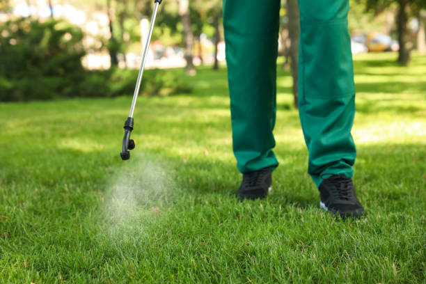 Best Termite Control Services  in Parkwood, WA
