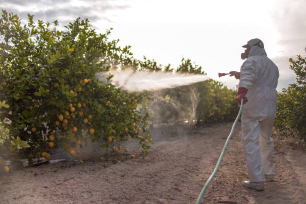 Best Affordable Pest Control Services  in Parkwood, WA